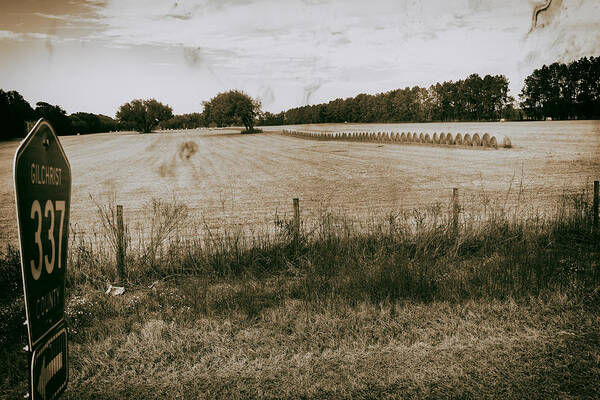 Nature Art Print featuring the photograph Farming by Howard Salmon