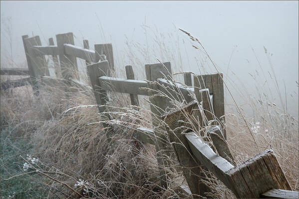 Fence Art Print featuring the photograph Fence fog frost Barlow by Jerry Daniel