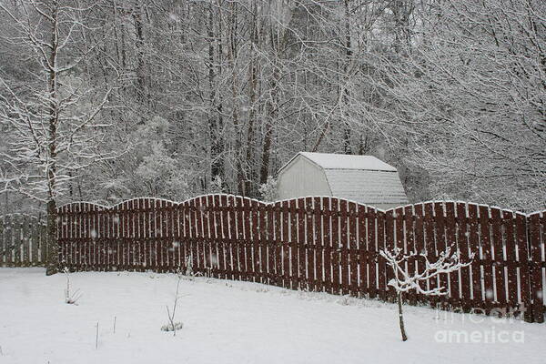 Snow Art Print featuring the photograph Fence in the Snow by Stan Reckard