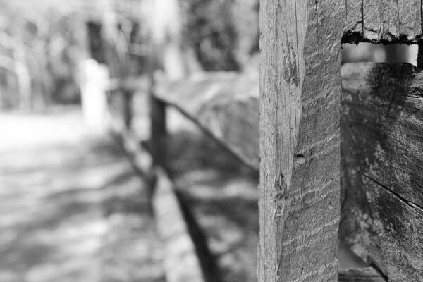 Fence Art Print featuring the photograph Fence by Jessica Brown