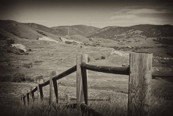 Fences Art Print featuring the photograph Fencing by Kathy Williams-Walkup