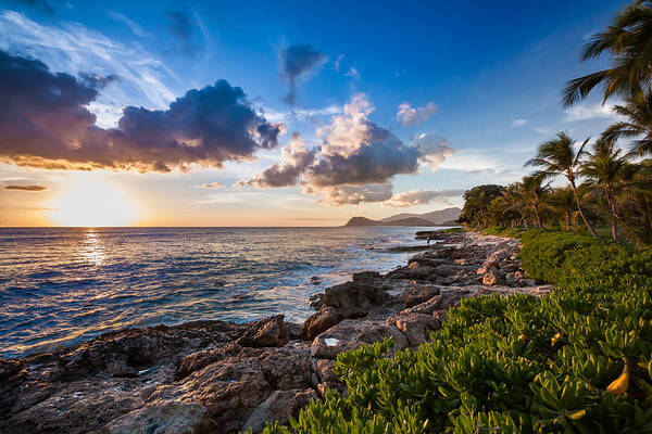 Fisherman Art Print featuring the photograph Fisherman and the Sea by Mike Lee