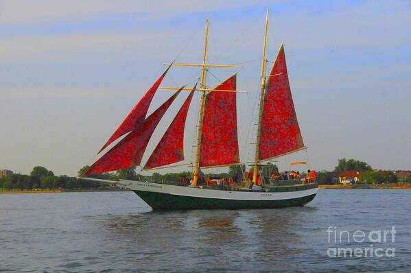 Sails Art Print featuring the photograph Five Red Sails by Kathleen Struckle