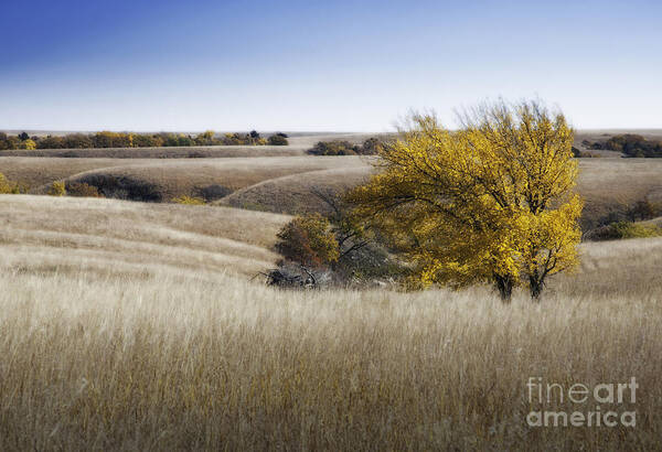 Flint Hills Art Print featuring the photograph Flint Hills Autumn 013 by Fred Lassmann