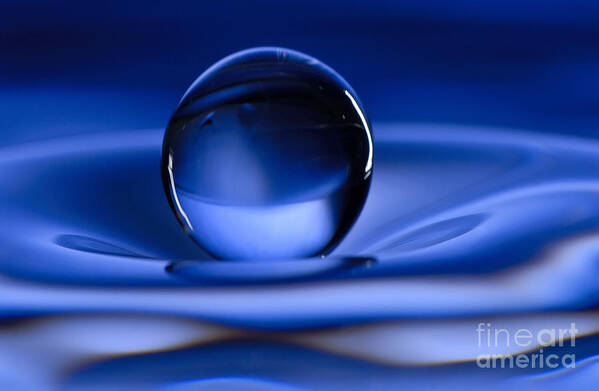 Water Drop Art Print featuring the photograph Floating Water Drop by Anthony Sacco