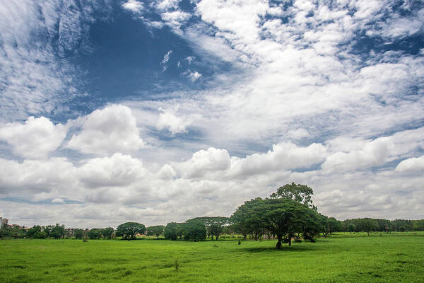 Tranquility Art Print featuring the photograph Flock Of Clouds by Arvind Manjunath Photography