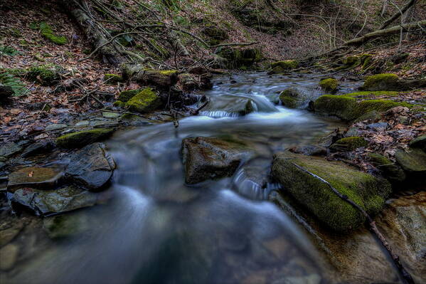 Brook Art Print featuring the photograph Flowing Waters by David Dufresne