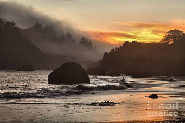 Trinidad State Beach Art Print featuring the photograph Fog And Fire by Adam Jewell