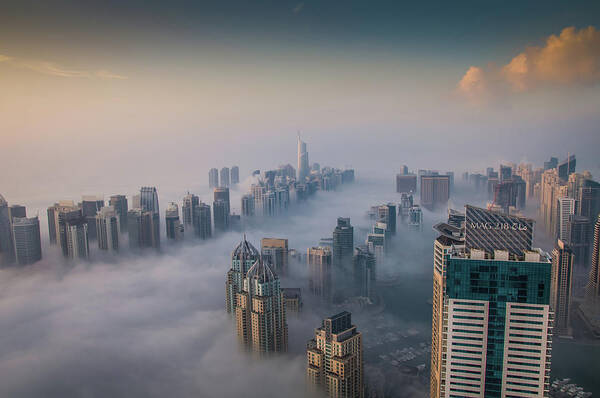 Tranquility Art Print featuring the photograph Fog In Dubai by Umar Shariff Photography