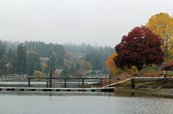 Gig Harbor Art Print featuring the photograph Foggy Day in October by E Faithe Lester