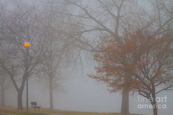Fog Art Print featuring the photograph Foggy Lake View by James BO Insogna