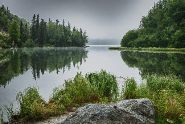 Crystal Yingling Art Print featuring the photograph Foggy Morn by Ghostwinds Photography