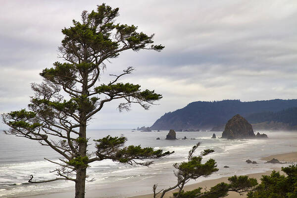 Haystack Rock Art Print featuring the photograph Foggy Morning at Tolovana Beach Oregon by David Gn