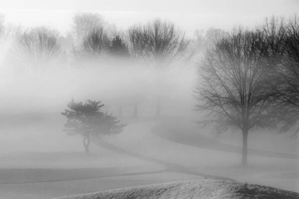 Fog Art Print featuring the photograph Foggy Morning by Carol Erikson