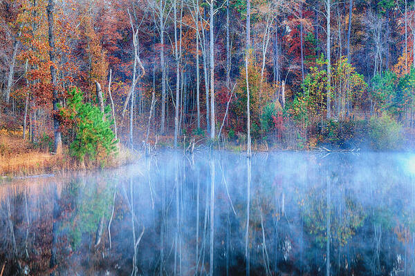 Lake Reflections Art Print featuring the photograph Foggy Morning Reflections by Greg Norrell