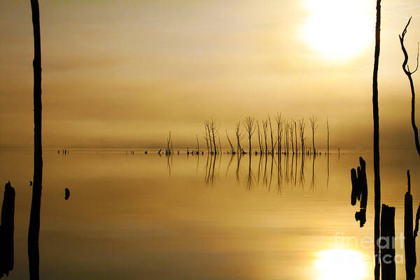 Water Art Print featuring the photograph Foggy Rise by Roger Becker