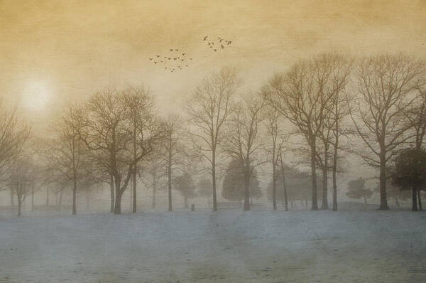 Fog Art Print featuring the photograph Foggy Sunset by Cathy Kovarik