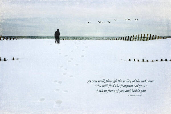 Snow Art Print featuring the photograph Footprints by Cathy Kovarik