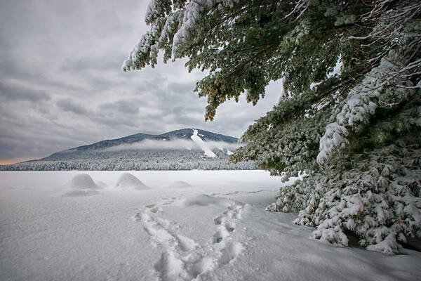 Winter Art Print featuring the photograph Footsteps to the Mountain by Darylann Leonard Photography