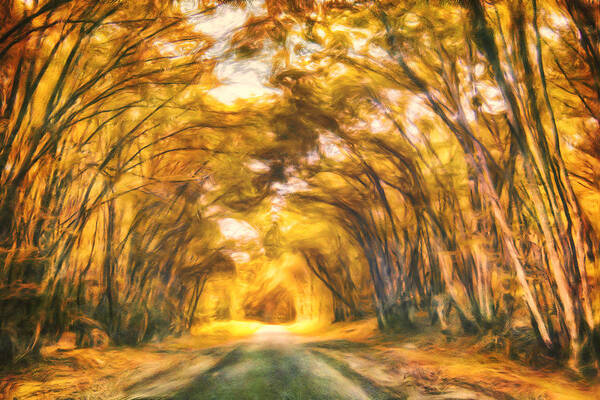Painting Art Print featuring the painting Forest Road by Joel Olives