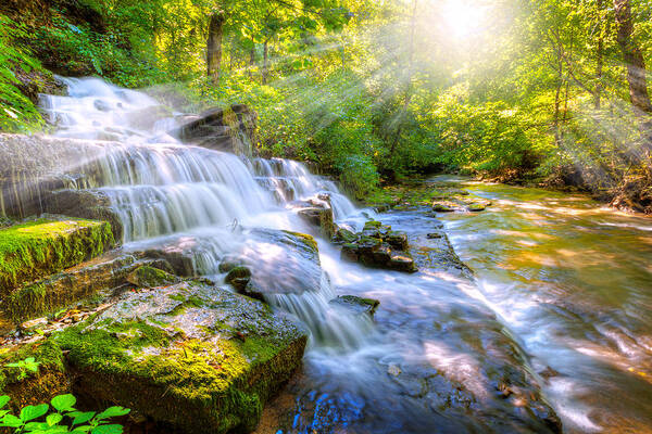 Beautiful Art Print featuring the photograph Forest stream and waterfall by Alexey Stiop