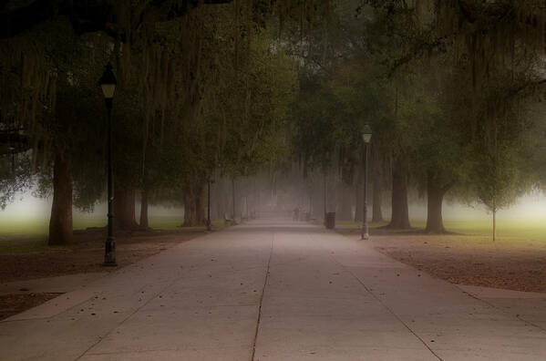 Forsyth Park Art Print featuring the photograph Forsyth Park Pathway by Frank Bright