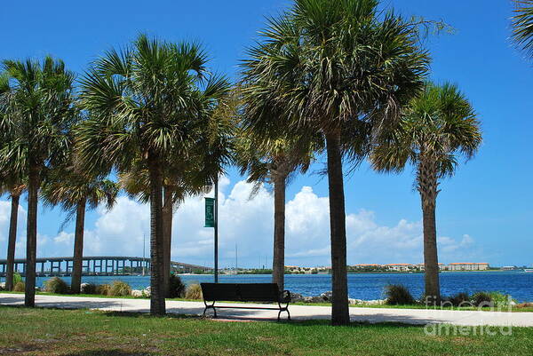 Palms Art Print featuring the photograph Fort Pierce River Front by Bob Sample