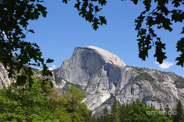 Half Dome Art Print featuring the photograph Framed Half Dome by Bill Singleton
