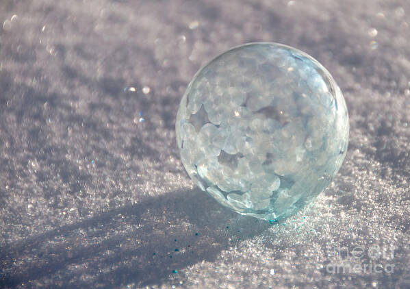 Frozen Bubbles Art Print featuring the photograph Freezing Bubble by Cheryl Baxter