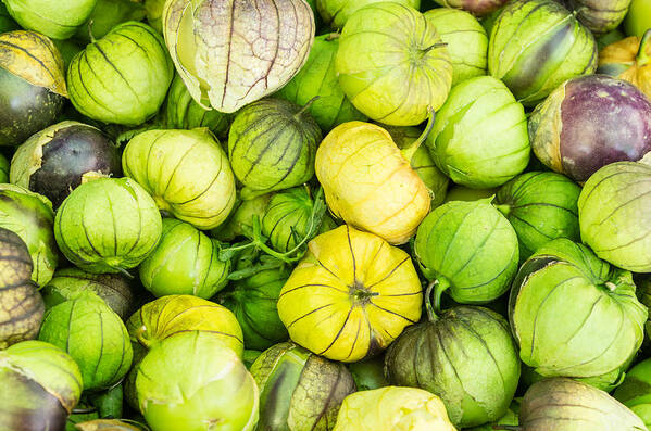 Agriculture Art Print featuring the photograph Fresh tomatillos by John Trax