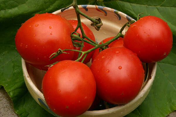 Bowl Art Print featuring the photograph Fresh tomatoes by Emanuel Tanjala