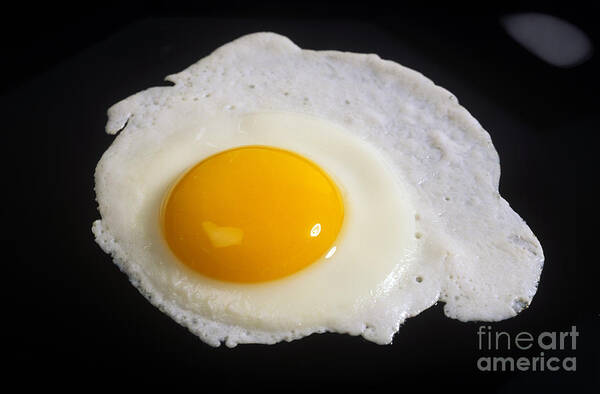 Egg Art Print featuring the photograph Fried Egg by Publiphoto