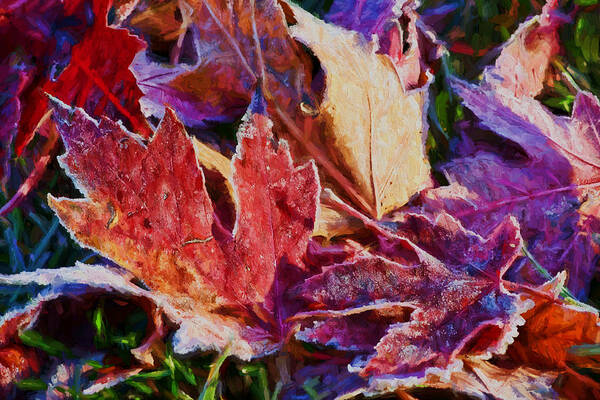 Leaves Art Print featuring the photograph Frosted Leaves #2 - Painted by Nikolyn McDonald