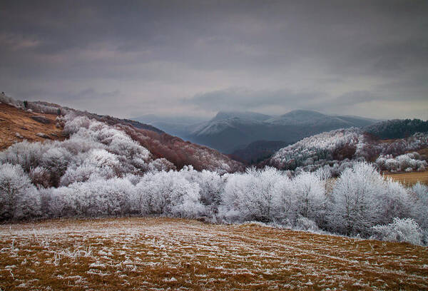 Slovakia Art Print featuring the photograph Frosty Breath by Peter Svoboda, Mqep