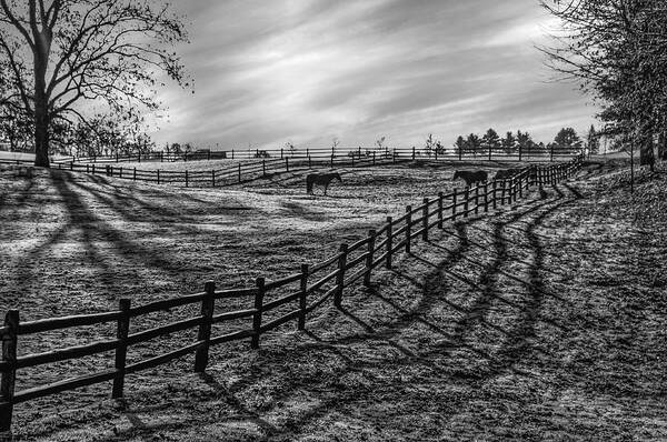 Acrylic Print Art Print featuring the photograph Frosty Corral at Dawn by Thomas Lavoie