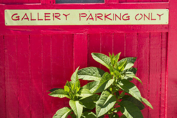 Art Art Print featuring the photograph Gallery Parking Only by Frank Winters