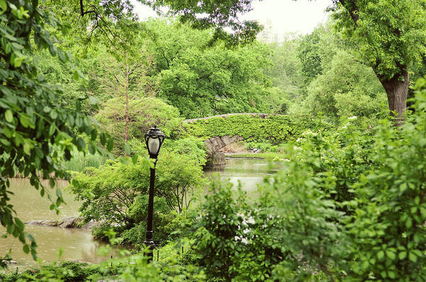 Water's Edge Art Print featuring the photograph Gapstow Bridge In Central Park New York by Magnez2