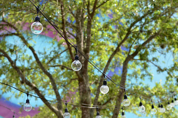 String Lights Art Print featuring the photograph Garden Party by Laura Fasulo