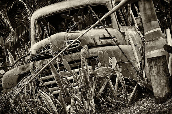 1940s Art Print featuring the photograph Garden Pick Up Truck by Raul Rodriguez