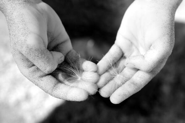 Hands Art Print featuring the photograph Giving Hands by Rebecca Parker