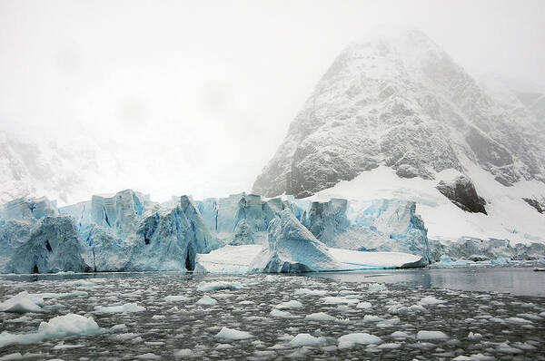 Scenics Art Print featuring the photograph Glaciers And Ice In Paradise Bay by Bill Raften