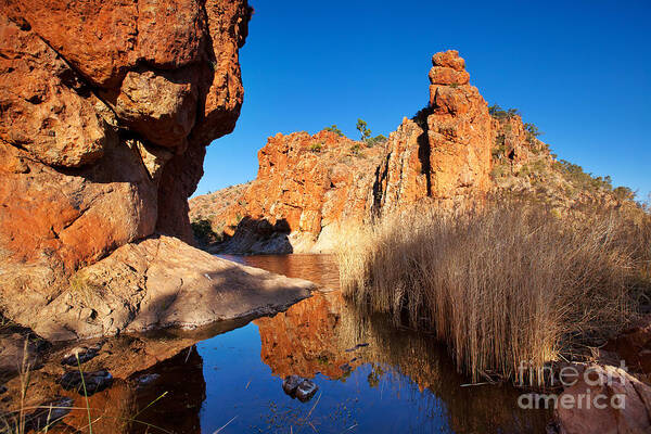 Glen Helen Gorge Central Australia Landscape Outback Water Hole West Mcdonnell Ranges Northern Territory Australian Landscapes Art Print featuring the photograph Glen Helen Gorge by Bill Robinson