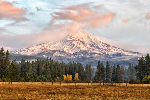 Mt Shasta Art Print featuring the photograph Glorious Mountain by Randy Wood