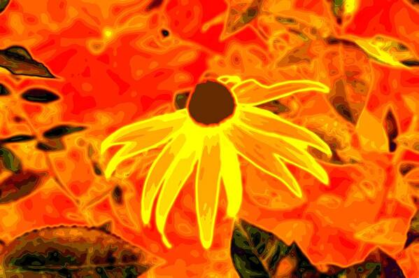 Black-eyed Susan Art Print featuring the photograph Glowing Embers by Laureen Murtha Menzl