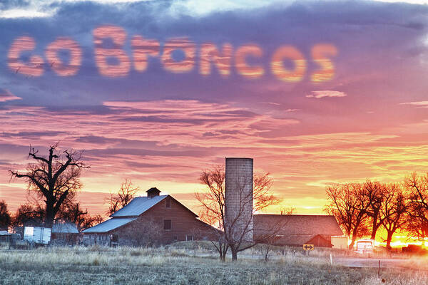 Broncos Art Print featuring the photograph Go Broncos Colorado Country by James BO Insogna