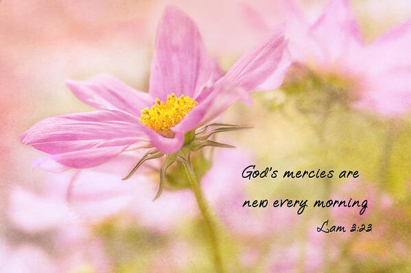 Cosmos Art Print featuring the photograph God's Mercies by Mary Jo Allen