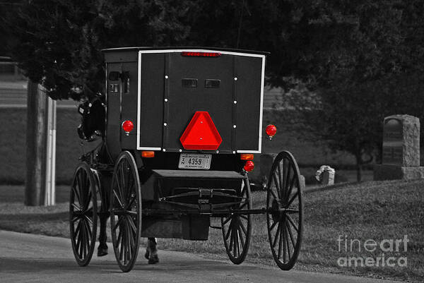 Buggy Art Print featuring the photograph Going Home SC by Mary Carol Story