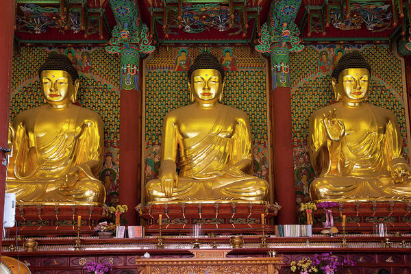 Korea Art Print featuring the photograph Gold Budha Statues Seoul, South Korea by Holgs