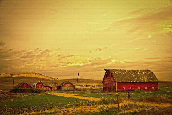 Golden Glow Farm Art Print featuring the photograph Golden Glow Farm by Randall Branham