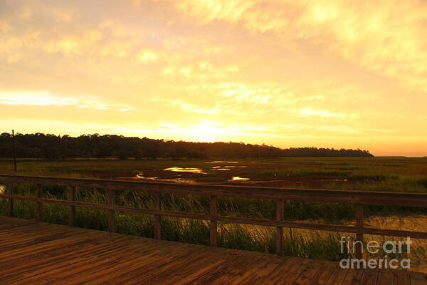 Sunset Art Print featuring the photograph Golden Hour on Ossabaw Island by Andre Turner